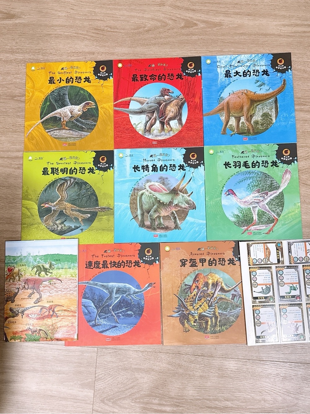 Chinese book Dinosaur Picture Book Set